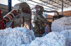 Transnordestina reduzirá custos e abrirá novos mercados para produtores do Cariri