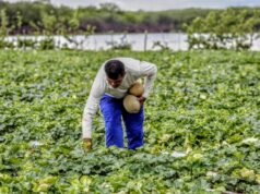 Vozes do campo pedem respostas urgentes