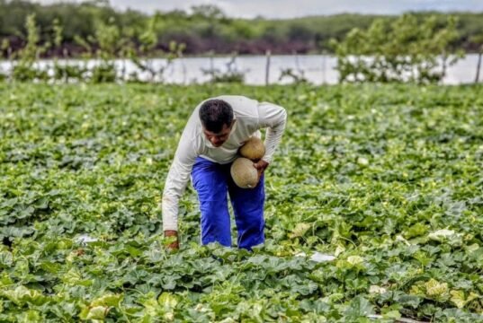 Agricultores de Itatira, Tauá e outros 18 municípios cearenses receberão pagamento do Garantia-Safra em abril