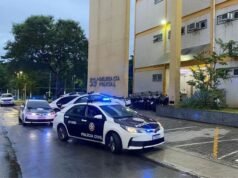 Mulher é presa suspeita de arremessar corpos de cães no telhado de casa no Rio