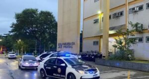 Mulher é presa suspeita de arremessar corpos de cães no telhado de casa no Rio