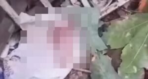 Bebê recém-nascido é encontrado abandonado no lixo, dentro de sacola, em Icó