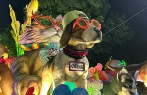 Orelha no Carnaval: Quando a memória vira samba e ensina sobre amor e lealdade