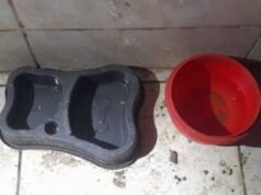 Mãe e filha são presas por maus-tratos a animais em Cascavel