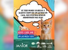 Sistema Maior de Comunicação lança campanha em defesa da adoção de gatos e combate ao abandono