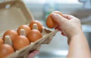 Como a guerra no Irã pode afetar preços do ovo, frango e porco no Brasil?