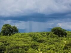 São José e a promessa das águas