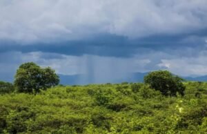São José e a promessa das águas