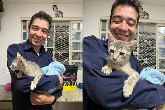 Pablo Stuart Fernandes Carvalho