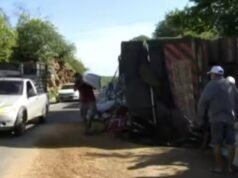Carreta com ração tomba na BR-222 e tem carga saqueada por populares
