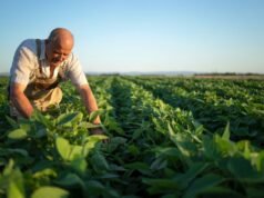 Agronegócio encara cenário desfavorável às vésperas do novo Plano Safra 2026/2027