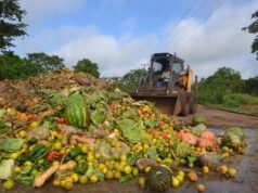 Desperdício de alimentos pode custar US$ 540 bilhões ao varejo global em 2026