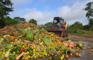 Desperdício de alimentos pode custar US$ 540 bilhões ao varejo global em 2026