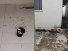 Homem descumpre medida protetiva, invade e vandaliza casa da ex-companheira e vai ao trabalho da vítima para ameaçá-la no Ceará