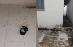 Homem descumpre medida protetiva, invade e vandaliza casa da ex-companheira e vai ao trabalho da vítima para ameaçá-la no Ceará