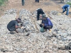 Prefeitura de Madalena inicia pavimentação em pedra tosca em três bairros
