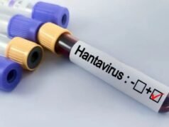 Paraná confirma dois casos de hantavírus e monitora outras 11 suspeitas