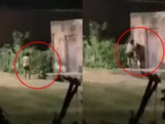 Mulher é presa em Mombaça por agredir filhas após denúncias e vídeo divulgado por moradores