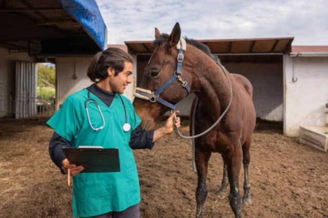 Medicina Veterinária