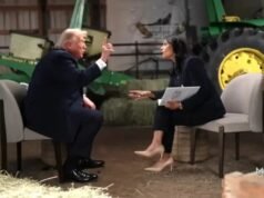 Trump abandona entrevista ao vivo após ser contestado sobre alegações de fraude eleitoral