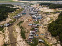 Temor por “Super El Niño” faz buscas explodirem e eleva cobrança sobre autoridades, aponta levantamento da Nexus