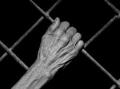 Patroa sacava Bolsa Família de doméstica mantida por 55 anos sem salário