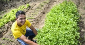 Ceará firma acordo para execução do Projeto Paulo Freire II, com investimento de R$ 834 milhões na agricultura familiar