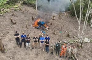 Nova plantação de maconha é descoberta no Ceará e destruída pelas forças de segurança