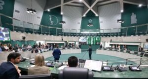 Ceará tem 370 candidatos a deputado estadual e 289 para federal; número cai em relação a 2022
