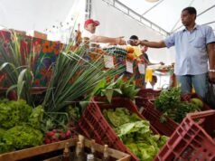 Decreto adia exigência de CNPJ para autônomos e produtores rurais