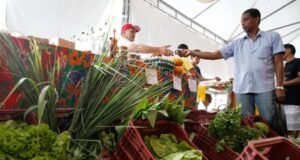 Decreto adia exigência de CNPJ para autônomos e produtores rurais