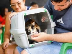 Castração e atendimento veterinário gratuitos em Fortaleza começam hoje, 14, e seguem até 25 de julho