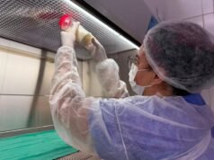 Banco de Leite do Hospital Regional Norte reforça importância da doação para atender bebês internados