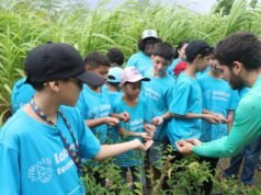 Ecoinec abre inscrições para oficinas gratuitas de agroecologia urbana e sustentabilidade voltadas para crianças e adolescentes em Fortaleza