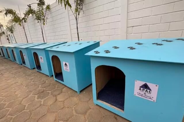 Casinha para animais
