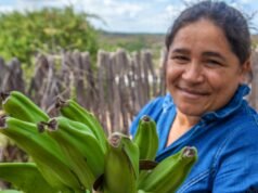 Instituto Antônio Conselheiro realiza Feira Agroecológica em Choró nesta sexta, 14