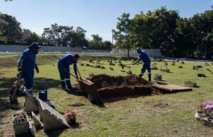 Cidade do Rio de Janeiro passa a permitir sepultamento de pets junto aos tutores