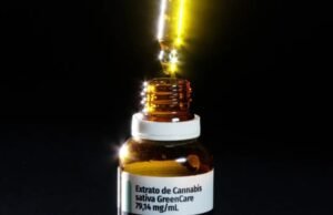 Anvisa autorizou mais de 116 mil importações de produtos de cannabis medicinal no primeiro semestre de 2026