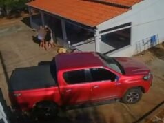 Idoso de 77 anos é picado por jararaca, desmaia e é levado às pressas para hospital no Ceará