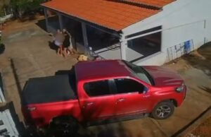 Idoso de 77 anos é picado por jararaca, desmaia e é levado às pressas para hospital no Ceará