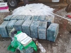 Cerca de 1 tonelada de cocaína escondida em carga de peixes no Ceará é apreendida pela PMCE e PF