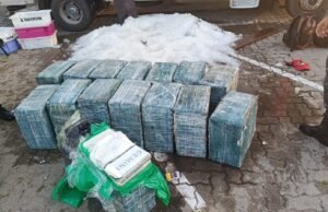 Cerca de 1 tonelada de cocaína escondida em carga de peixes no Ceará é apreendida pela PMCE e PF