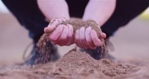 A mão que encerra o sabor da terra
