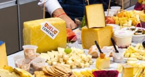 Vitrine Queijeira reúne produtores e especialistas para valorizar queijo cearense em Fortaleza