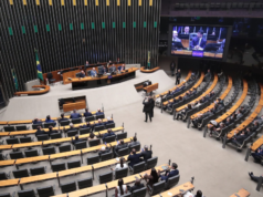 Câmara dos Deputados terá mudanças em 2027, mas mantém maioria masculina e branca