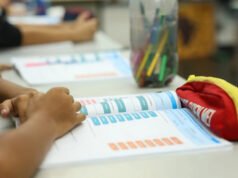 Temas ambientais devem ser incluídos nos currículos escolares de 2027 e nos planos da educação da rede pública do Ceará, orienta MPCE
