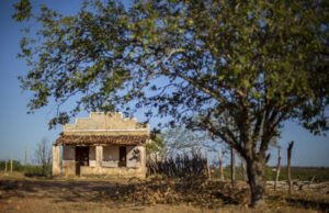 QXAS Festival reúne exposições, workshops e palestras em Quixadá e Quixeramobim sob o tema “O que a Terra não Esquece”